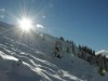 Bilde 6