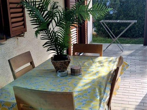 Holiday apartment - 4 persons -  - Privlaka - 23233