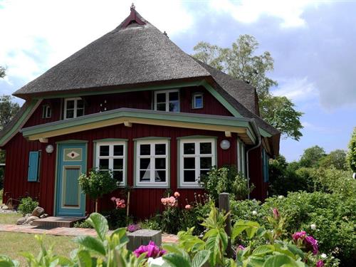Sommerhus - 5 personer -  - Krabbenort - 18375 - Ostseebad Prerow