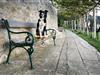 Bilde 39