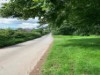 Image 14
