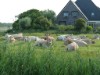 Bild 22 - Aussen