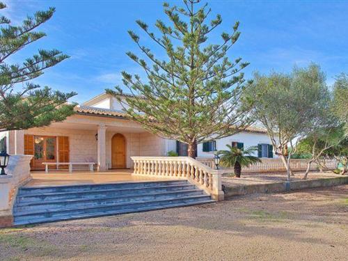 Holiday home - 10 persons -  - 07001 - Palma De Mallorca