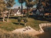 Billede 42