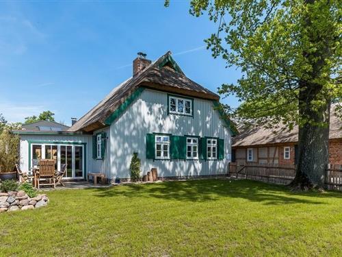 Sommerhus - 6 personer -  - Südstraße - 18375 - Born