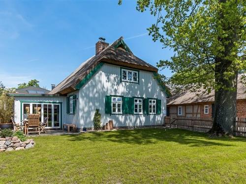 Sommerhus - 6 personer -  - Südstraße - 18375 - Born