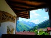 Bild 52
