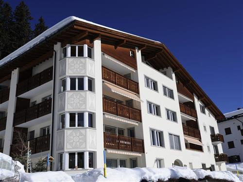 Feriehus / leilighet - 4 personer -  - untere Waldpromenade - 7050 - Arosa