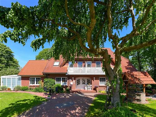 Holiday apartment - 3 persons -  - Edenserlooger Straße - 26427 - Werdum