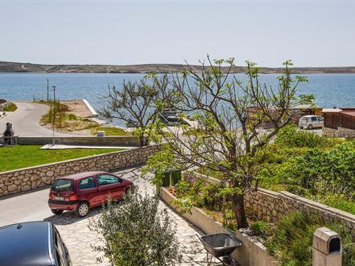 Holiday apartment - 4 persons -  - Kustici - Pag - Kustici - 53296 - Kustici