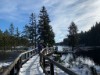 Billede 64