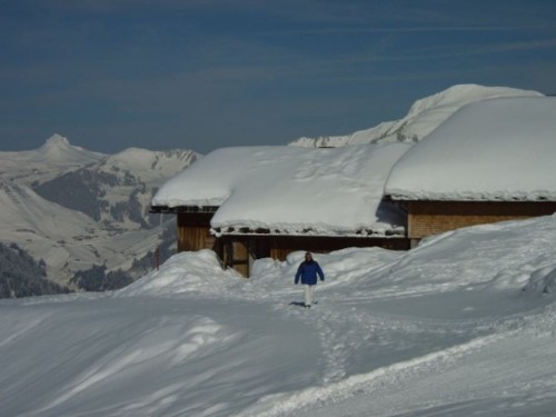 Fritidshus - 10 personer -  - 6731 - Sonntag