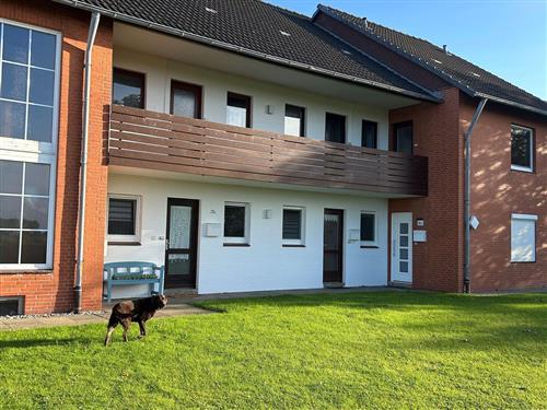 Ferielejlighed - 3 personer -  - Friesenring - 25718 - Friedrichskoog / Ort
