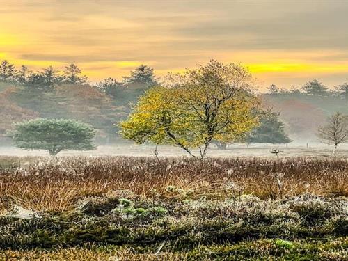 Fritidshus - 4 personer -  - 7849PC - De Kiel