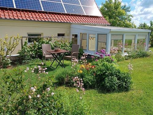 Ferielejlighed - 2 personer -  - Mühlenweg - 18209 - Bad Doberan