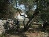 Bilde 5