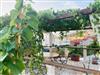 Image 37 - Outside
