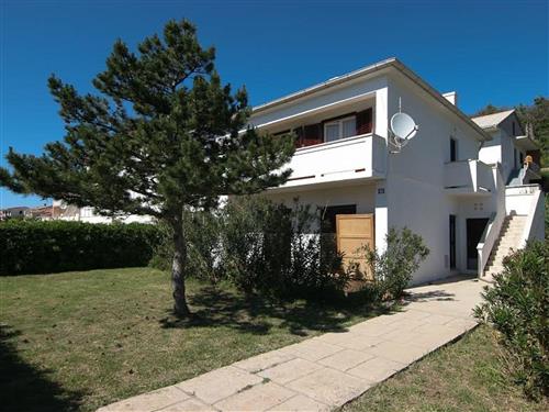 Holiday apartment - 7 persons -  - Ante Starcevica - 23250 - Pag