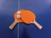 Bild 17