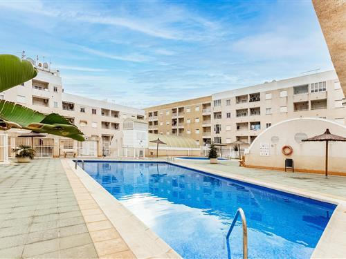 Ferielejlighed - 4 personer -  - Rambla Juan Mateo García - 03181 - Torrevieja