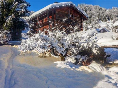 Ferienhaus - 7 Personen -  - Chemin des Cheneaux - 1934 - Bruson