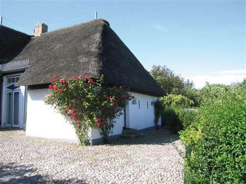 Sommerhus - 3 personer -  - Goting - 25938