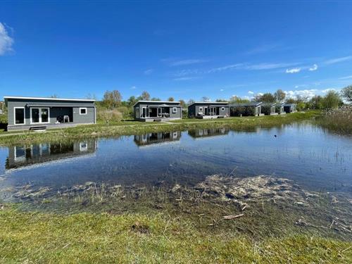 Holiday home - 5 persons -  - Strandweg 1 DP - 9976 VS - Lauwersoog