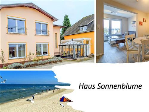 Ferienhaus - 4 Personen -  - Glienbergweg - 17454 - Zinnowitz