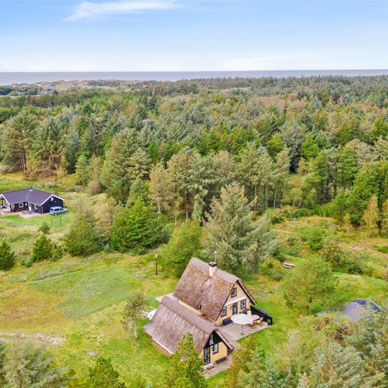 Ferienhaus - 6 Personen -  - Falkevej - 9493 - Saltum