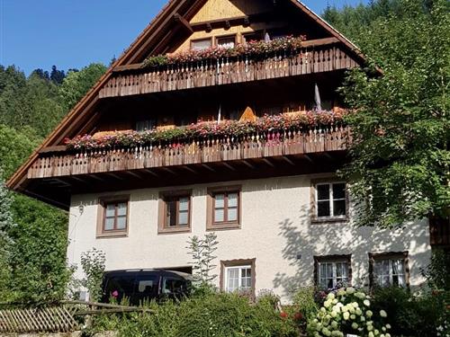 Holiday Home/Apartment - 4 persons -  - Ippichen - 77709 - Wolfach