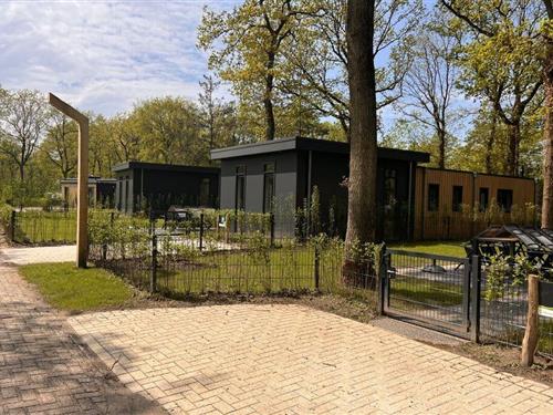 Ferienhaus - 6 Personen -  - 8437 PE - Zorgvlied