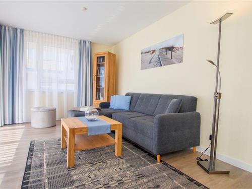 Ferieleilighet - 2 personer -  - Seestrasse - 18374 - Zingst (Ostseeheilbad)