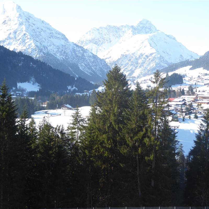 Ferielejlighed - 2 personer -  - Innerschwende - 6991 - Riezlern