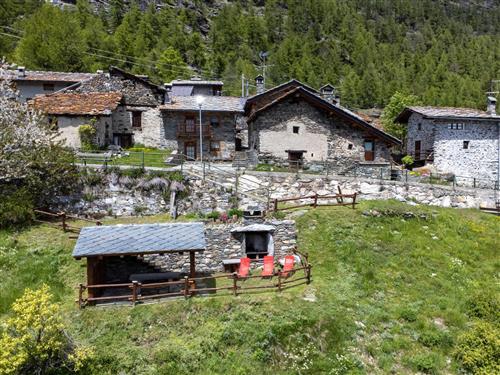 Ferielejlighed - 2 personer -  - Avise - 11011