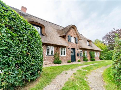 Feriehus - 9 personer -  - Marschweg - 25938 - Alkersum