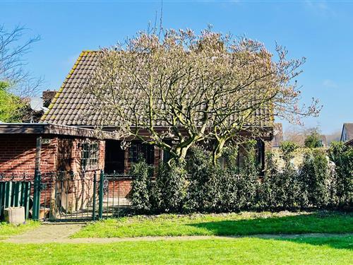 Holiday Home/Apartment - 4 persons -  - 2211ZC - Noordwijkerhout