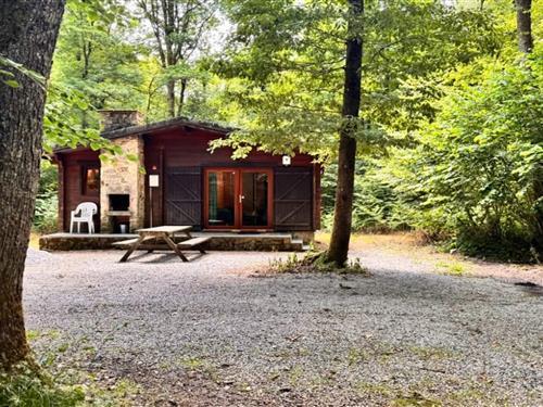 Chalet - 6 personer -  - 5670 - Oignies-En-Thierache