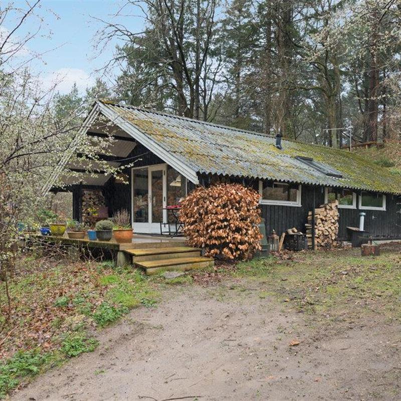 Sommerhus - 4 personer -  - Fyrrehaven - Femøller Bakker - 8400 - Ebeltoft