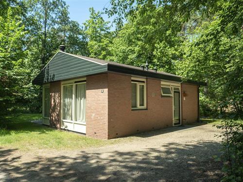 Ferienhaus - 4 Personen -  - Miggelenbergweg - 7351 BP - Hoenderloo