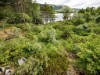 Image 22 - Outside