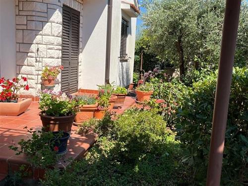 Holiday apartment - 4 persons -  - Ulica Šurida 10A, Štinjan - 52100 - Pula