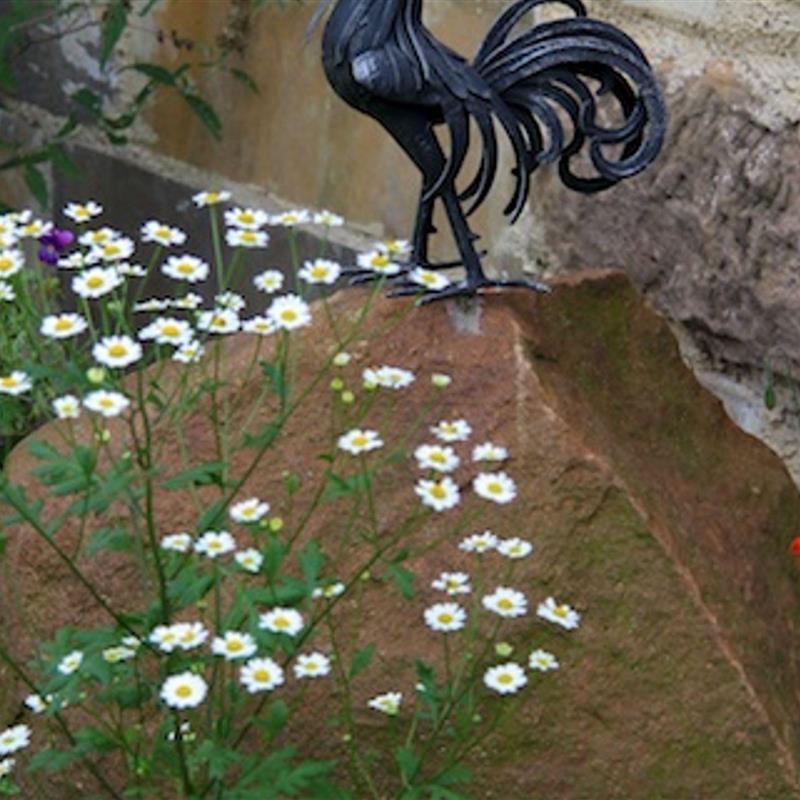 Ferielejlighed - 4 personer -  - Schwand - 92272 - Freudenberg