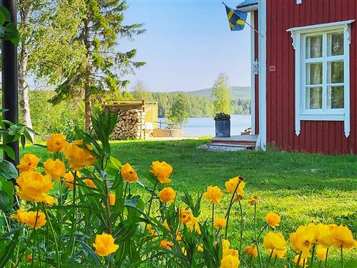 Sommerhus - 7 personer -  - Östervik - 91693 - Bjurholm