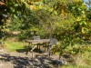 Bilde 19 - Terrasse
