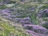 Bild 72