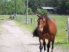 Bild 16