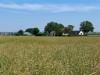 Bild 2 - Ude