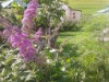Bild 24
