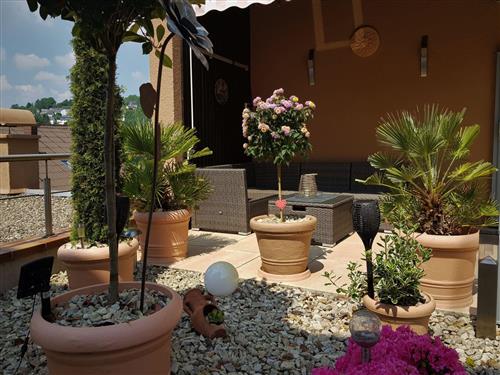 Ferielejlighed - 1 person -  - Frauenberg - 55776