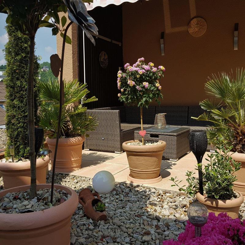 Ferielejlighed - 1 person -  - Frauenberg - 55776